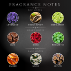 Phantom perfume notes – spicy, woody, musky scent for men India