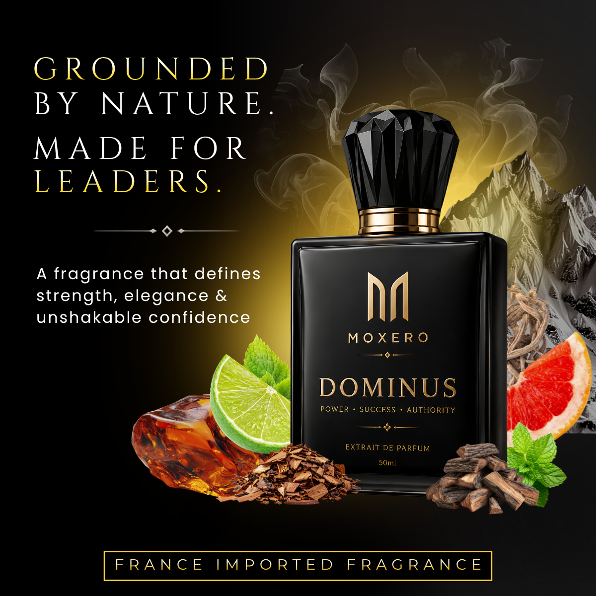 Dominus perfume notes – natural spicy woody ingredients for men